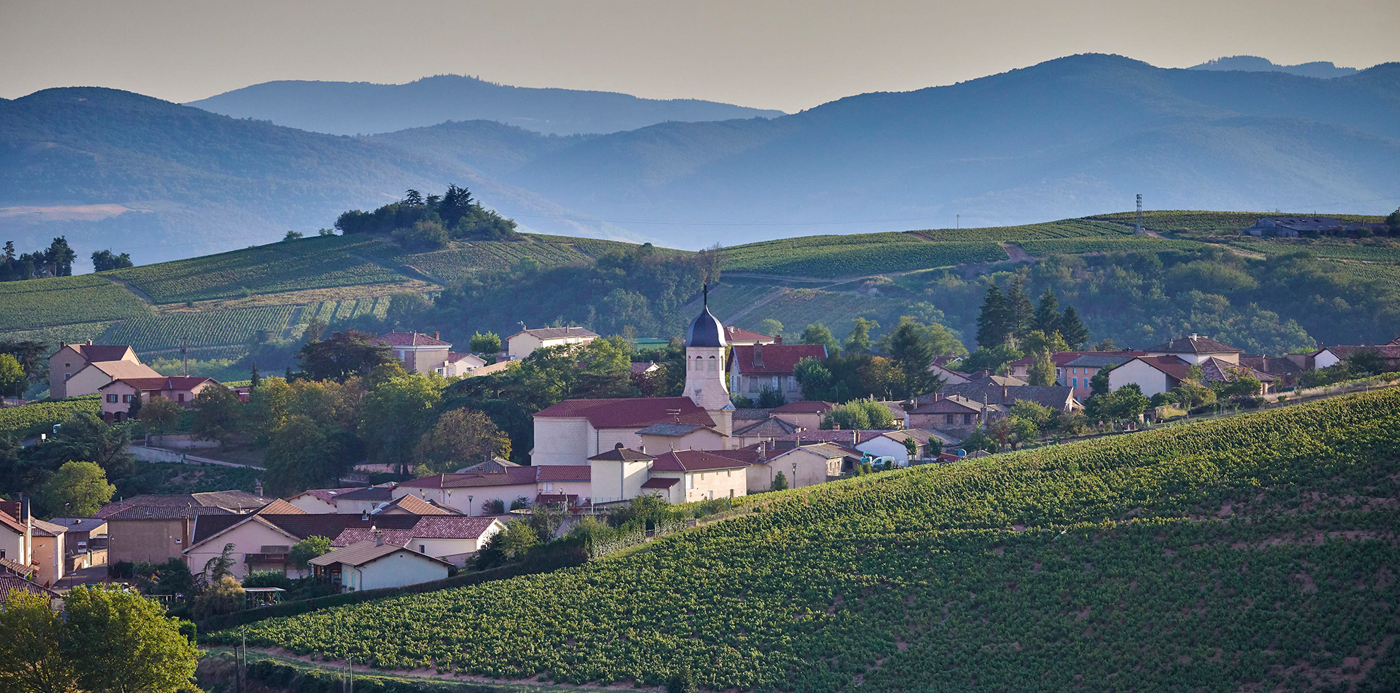 Panorama du village de Chiroubles dans le Beaujolais — clocher de l'église Saint-Germain entouré de vignes et de collines